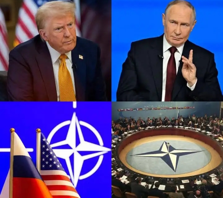 Trump Says Putin Does Not Seek to Attack NATO Territory