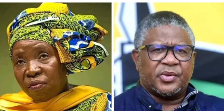 Dlamini-Zuma Stands By Vote-Buying Allegations Against Mbalula