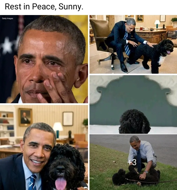 FORMER US PRESIDENT BARACK OBAMA MOURNS DEATH OF FAMILY DOG SUNNY AFTER 13 YEARS
