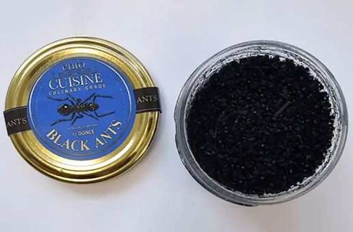 Restaurant owner avoids jail time for serving desert of ‘ants on a plate’
