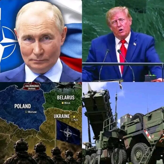1791353229313