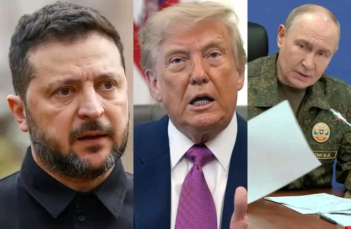 President Volodymyr Zelenskyy TEARS into Trump’s “obvious weakness” after the American President announced, in a stunning betrayal, that he will allow millions of tons of Russian diesel fuel to enter the global market
