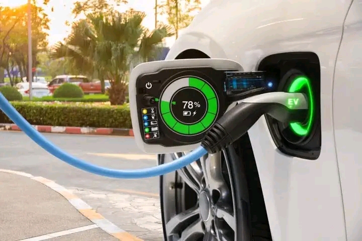 HH ORDERS GOVERNMENT INSTITUTIONS TO SWITCH TO ELECTRIC VEHICLES