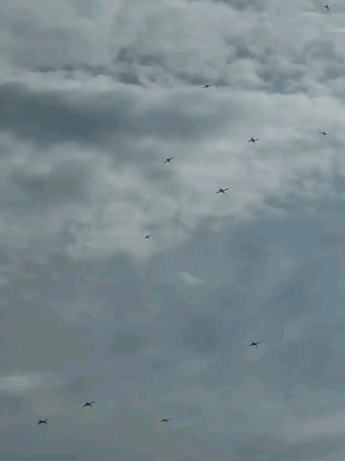 1791961881053