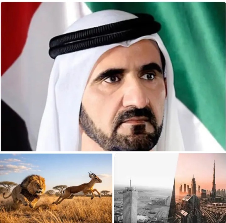 CIKULU BWACHA AND FILI UKO TULEYA SYNDROME: LESSONS FROM THE EMIRATES