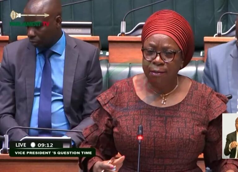 Holding State funeral without the President is treasonous- Nalumango