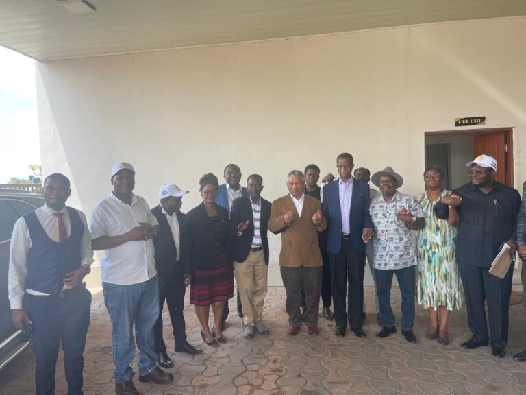 ZAMBIANS ARE SEEKING FOR A LEADERSHIP TEAM THAT WILL RESCUE THEM FROM UPND FAILURES-ECL