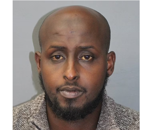 image_2024-10-19_085945488