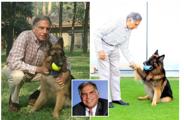 Indian Billionaire businessman has left a large chunk of his £91million fortune to his dog in his will